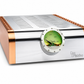 Dan D'Agostino - Momentum M400 MXV - Monoaural Amplifier