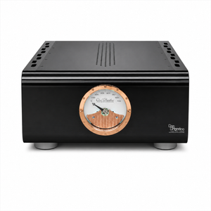 Dan D'Agostino - Progression M550 - Monaural Amplifier