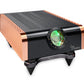 Dan D'Agostino - Momentum S250 MXV - Stereo Amplifier