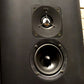 THIEL CS-3.6 Coherent Source Loudspeakers - Rare Rosewood