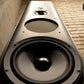 THIEL CS-3.6 Coherent Source Loudspeakers - Rare Rosewood