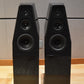 Wilson Audio Sabrina X - Carbon Gloss