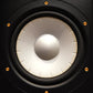 THIEL MCS1 Loudspeakers - 30 Years of Engineering and Award Winning Performance