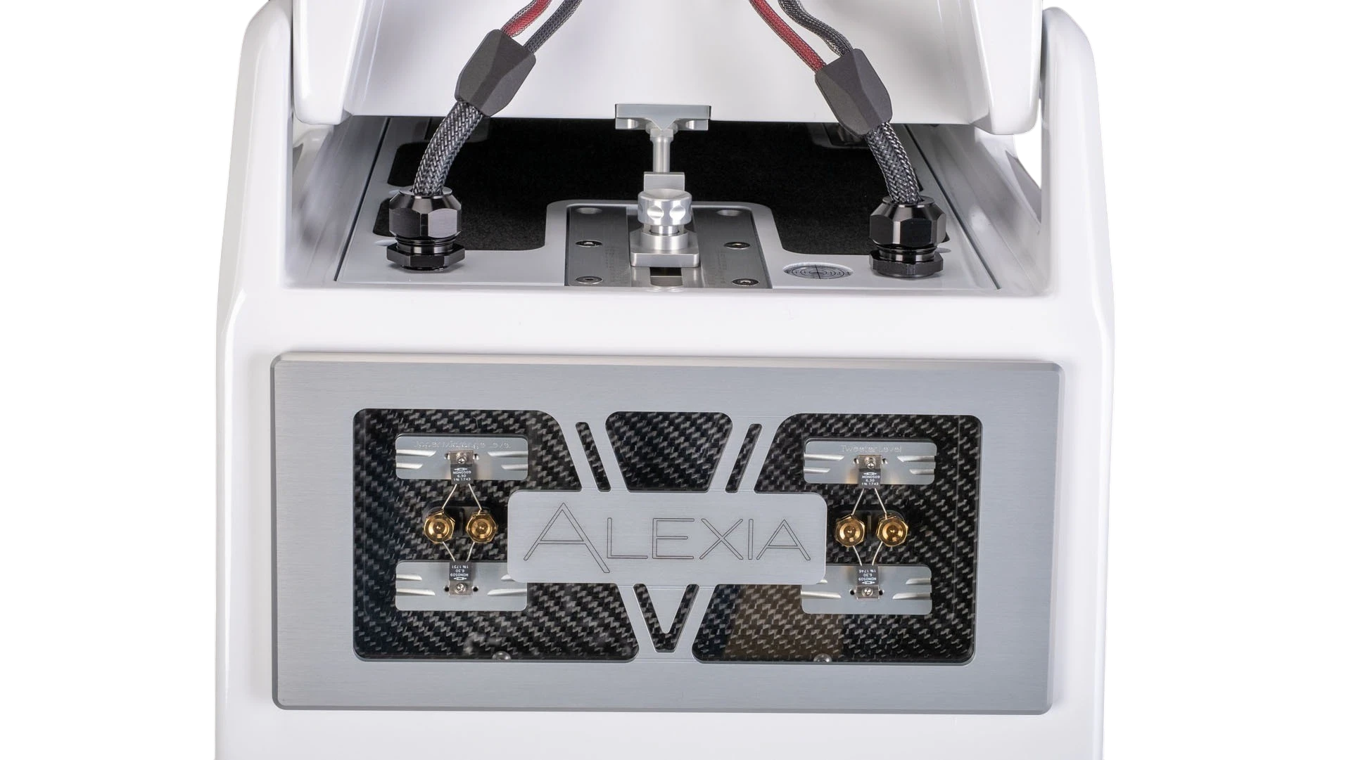 Salon 1 Audio Wilson Audio Alexia V speaker rear connection panel with carbon fiber detail and precision terminals