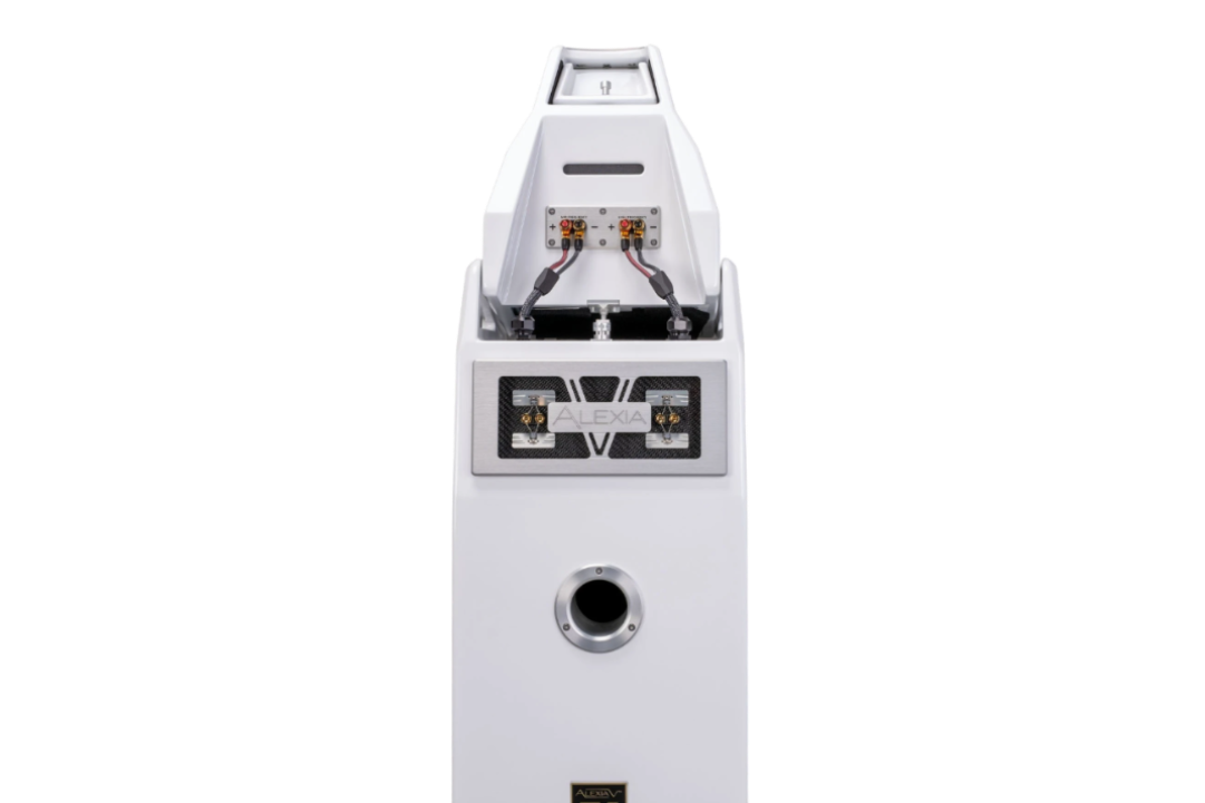 Rear view of white Salon 1 Audio Wilson Audio Alexia V floorstanding speaker showing connection terminals and port
