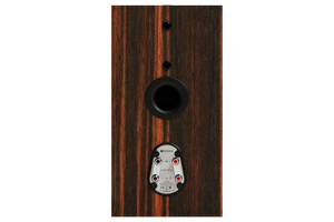 Salon 1 Audio Monitor Audio Gold 100 6G bookshelf speaker rear panel showing terminals and port in Macassar wood finish