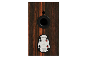 Salon 1 Audio Monitor Audio Gold 50 6G bookshelf speaker rear view showing terminals and bass port in Macassar wood