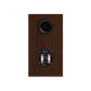 Salon 1 Audio Monitor Audio Bronze 50 7G bookshelf speaker rear view showing the bass reflex port and terminal inputs.
