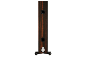 Salon 1 Audio Monitor Audio Gold 300 6G floorstanding speaker rear view showing ports and terminals in wood finish