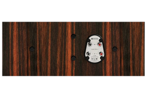 Salon 1 Audio Monitor Audio Gold C250 6G center channel speaker rear panel showing high-quality speaker terminals