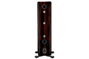 Salon 1 Audio Monitor Audio Platinum 300 3G floorstanding speaker rear view showing ports and terminals in piano ebony