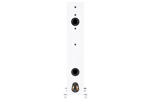 Salon 1 Audio Monitor Audio Silver 300 7G floorstanding speaker rear view showing dual bass ports and binding posts