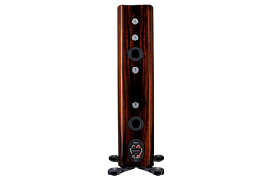 Salon 1 Audio Monitor Audio Platinum 200 3G floorstanding speaker in piano ebony finish showing rear terminal panel