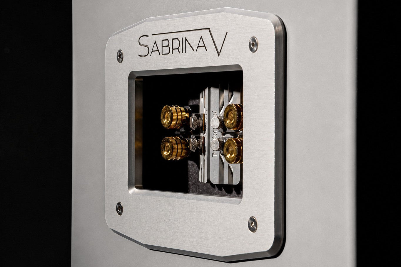 Salon 1 Audio Wilson Audio Sabrina V floorstanding speaker rear aluminum resistor tuning panel with gold terminals