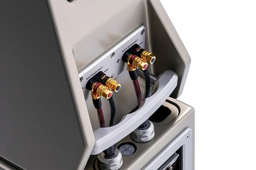 Salon 1 Audio Wilson Audio WATT/Puppy speaker rear connection panel with gold terminals and integrated handle
