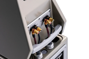 Salon 1 Audio Wilson Audio WATT/Puppy speaker rear connection panel with gold terminals and integrated handle