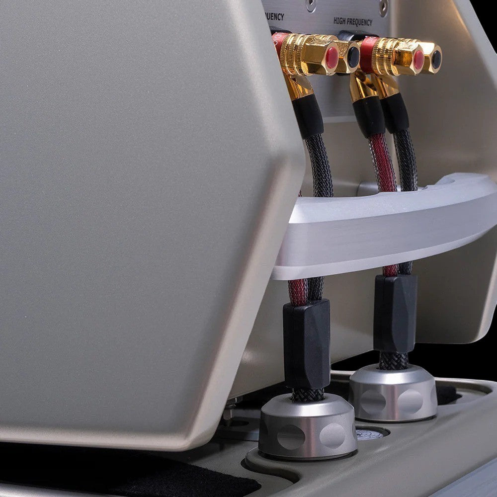 Salon 1 Audio Wilson Audio WATT/Puppy speaker rear view showing gold-plated binding posts and ergonomic handle
