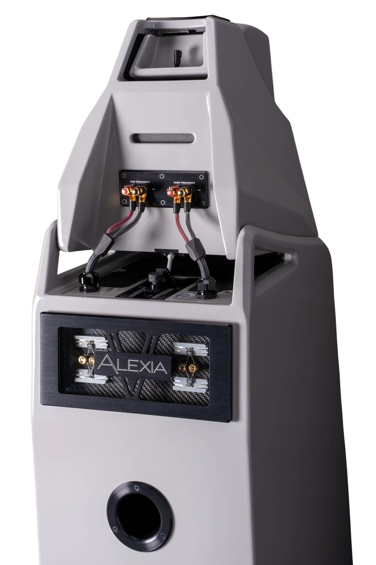 Salon 1 Audio Wilson Audio Alexia V floorstanding speaker rear view showing high-frequency terminals and carbon detail