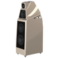 Salon 1 Audio Wilson Audio Alexia V floorstanding speaker in a glossy beige finish with a multi-module cabinet design.