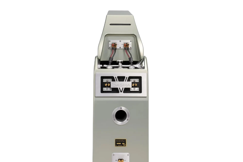Salon 1 Audio Wilson Audio Sasha V floorstanding speaker rear view showing binding posts and port design.