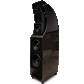 Wilson Audio ALEXX Loudspeakers - Stealth Diamond Black Satin