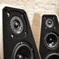 Wilson Audio Sabrina- Desert Silver