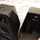 Wilson Audio Sabrina- Obsidian Black